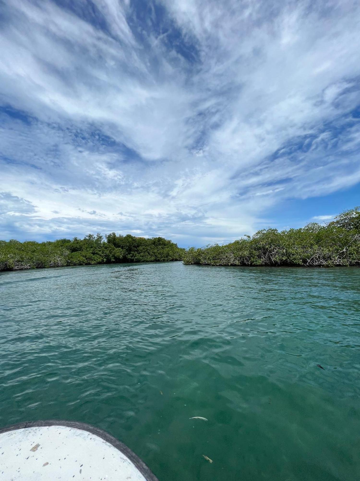 Tintipan Hotel Tintipan Island Luaran gambar